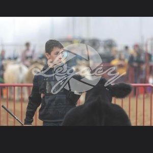 Meet your Posher, Conner